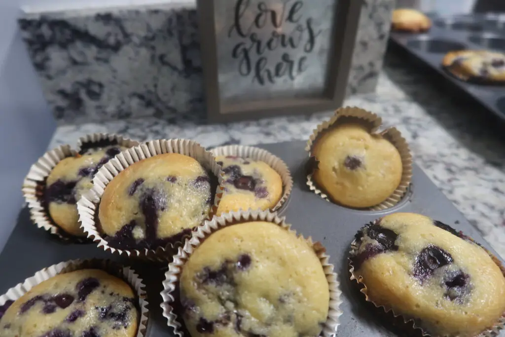 Delicious and Healthy Low Carb | Keto Blueberry Muffins Recipe ...